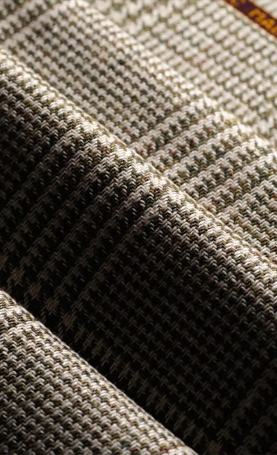 Cerruti-1.jpg#asset:8550:contentImage