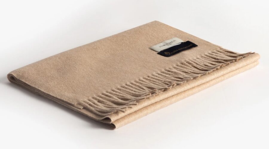 Piacenza-1.jpeg#asset:8548:contentImage